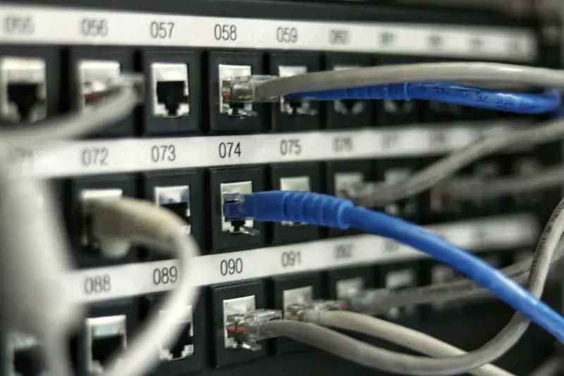 Patch panel with blue and grey network cables